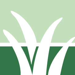 Stone Lawn Treatment