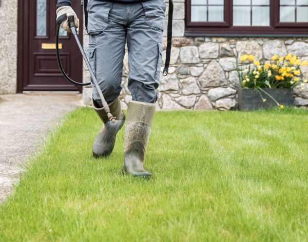 Yard Spraying Service