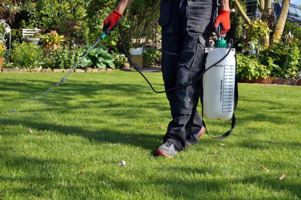 Grass Treatment Service