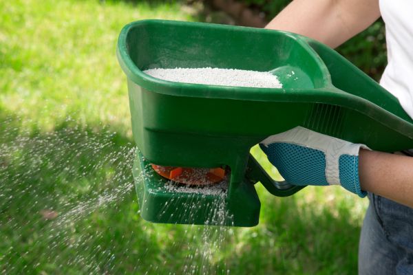 Grass Fertilization Service