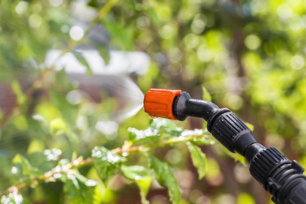 Garden Spraying Service