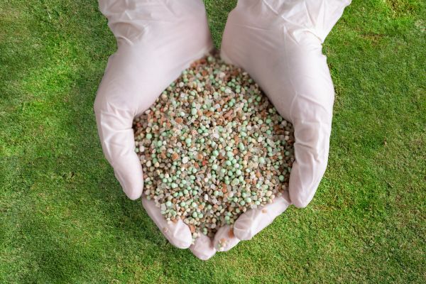 Lawn Care Fertilizing