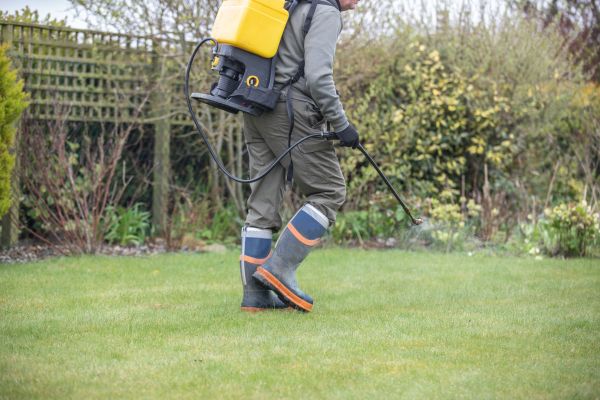 Lawn Weed Prevention