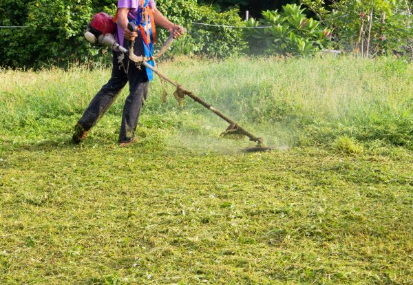 Slope Weed Control Service