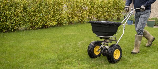 Spring Lawn Fertilizing Service