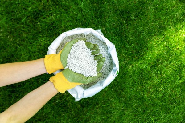 Lawn Enrichment