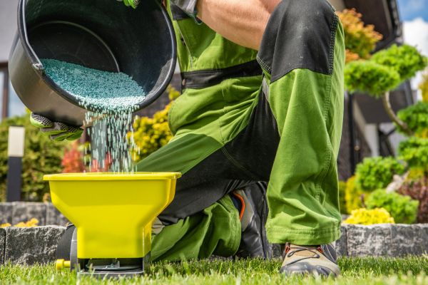 Fall Lawn Nourishment