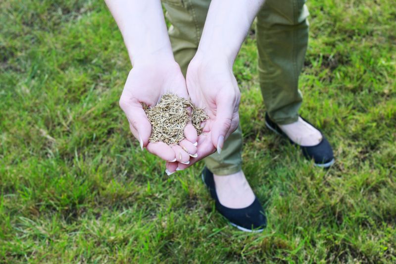 Lawn Health Monitoring