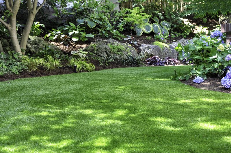 Healthy Lawn Care