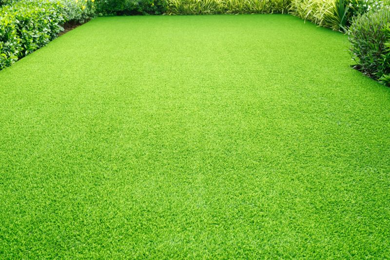 Post-Treatment Lawn