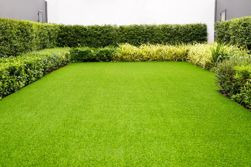 Healthy Green Lawns